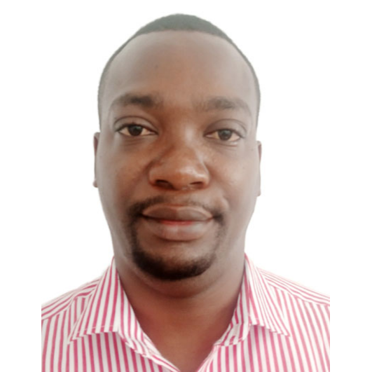 Mr. Anael Simon Mshindo
